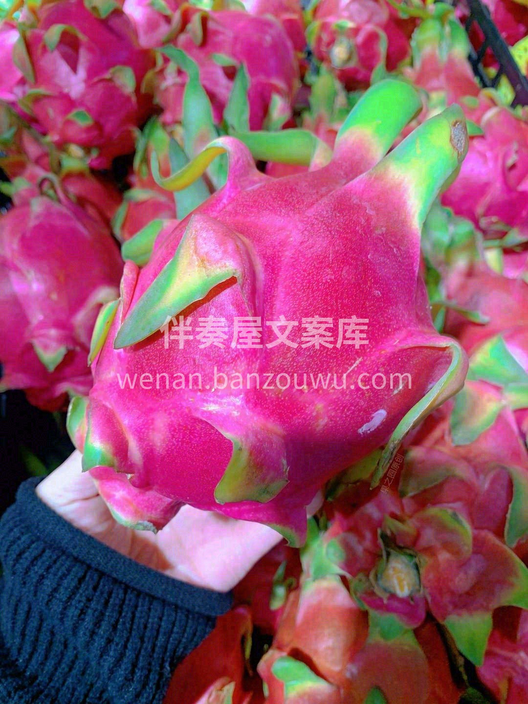 没有一次上火是白心火龙果解决不了的👍 哈 配图3