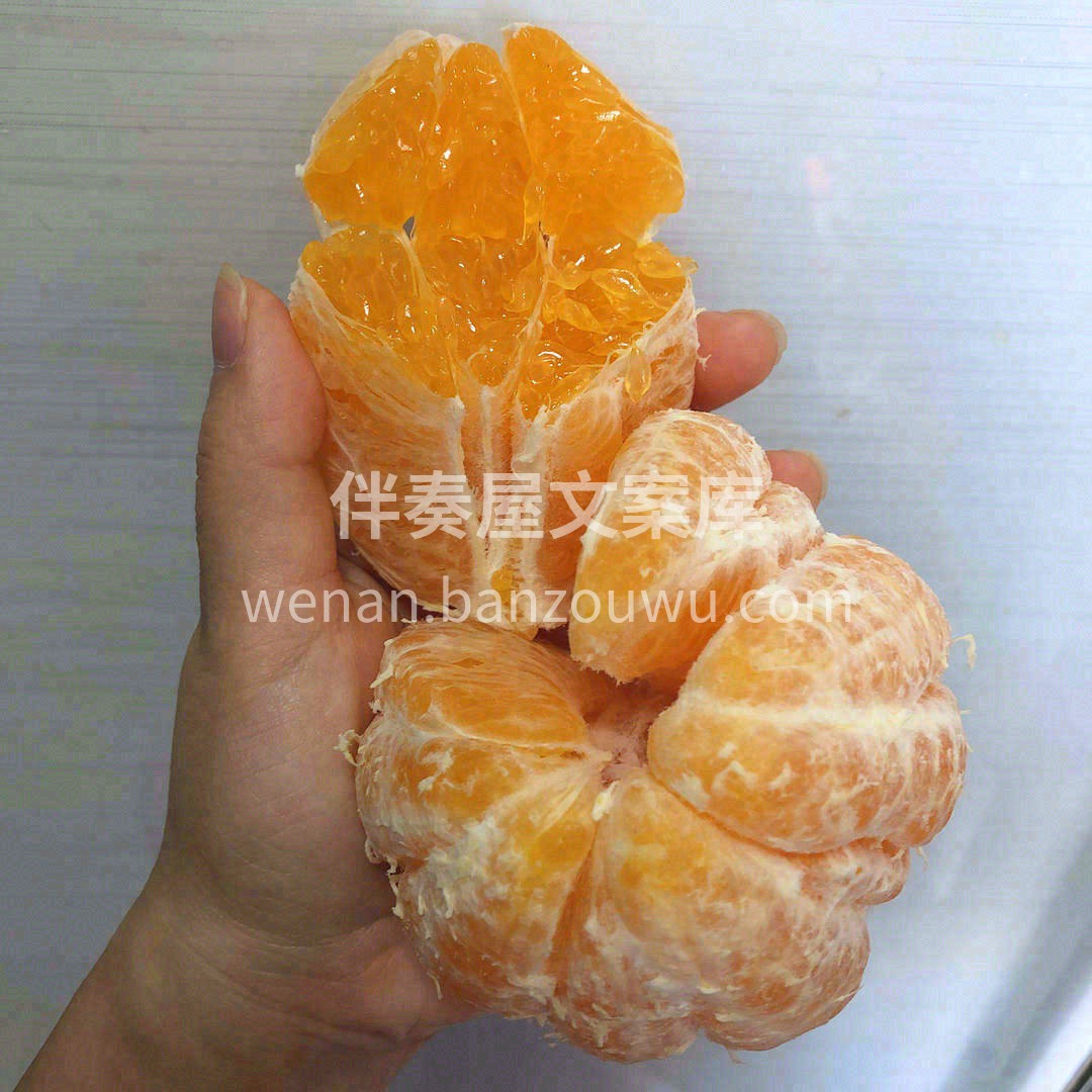 四川不知火丑橘🍊 不靠颜值的实力派👍，口 配图1