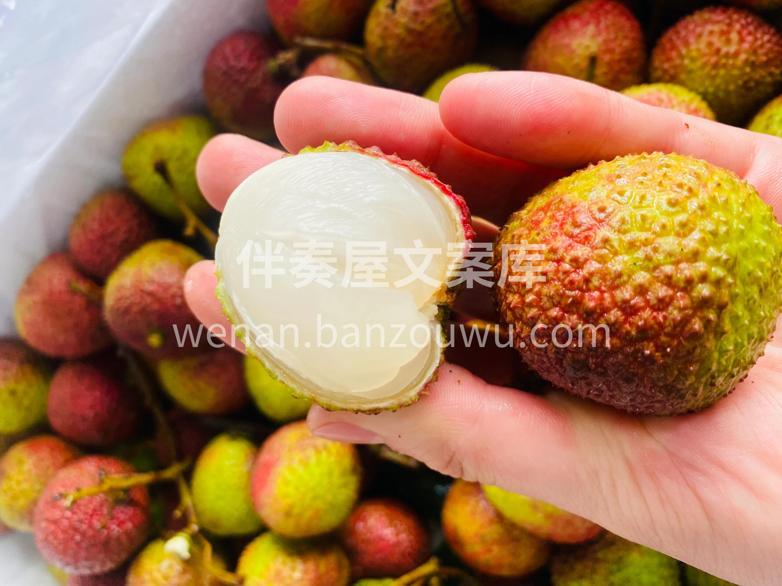 荔枝继续到🔥 是肉多多的妃子笑荔枝呀！  配图2