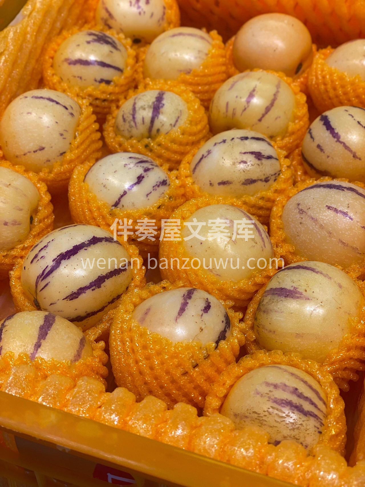 紧急补水来颗人参果呗💦 要说莲雾是一颗八 配图1
