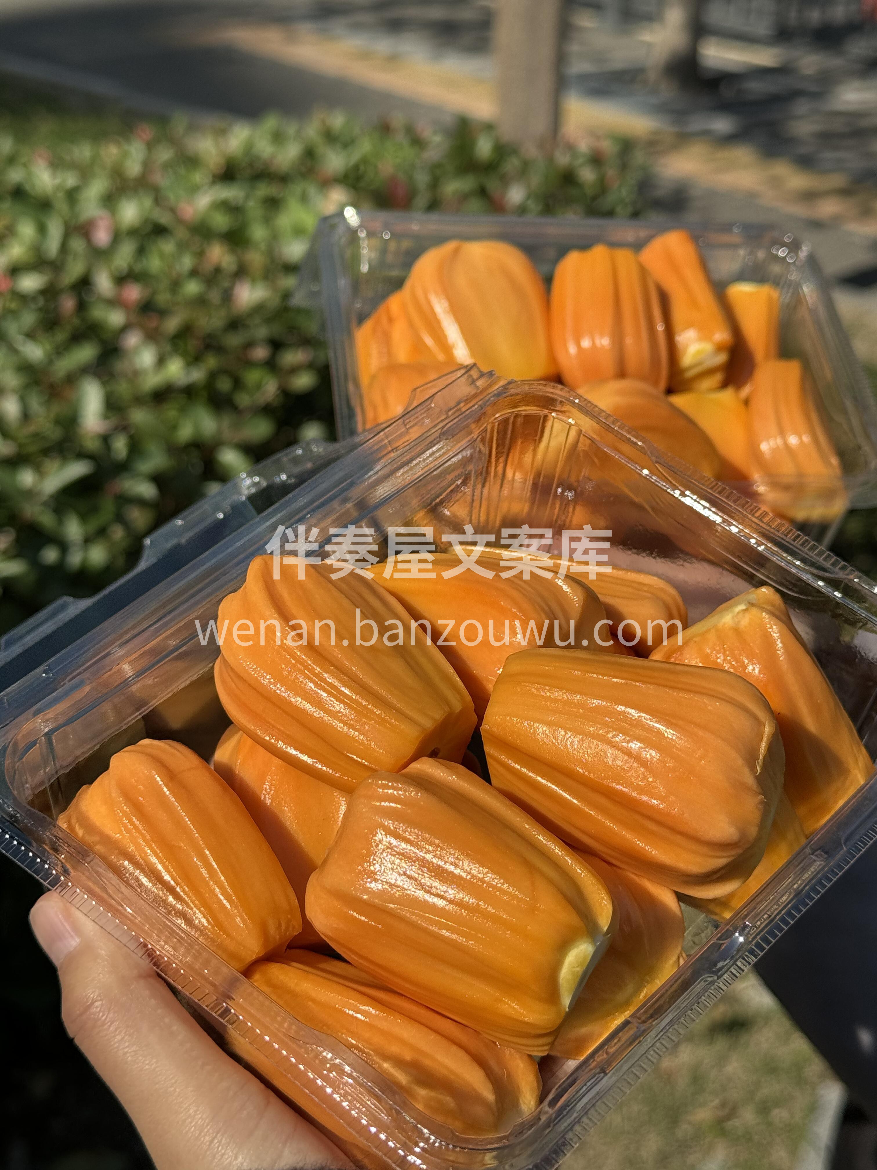 特级红肉菠萝蜜新鲜开剥咯😍！ 香甜~香甜 配图2