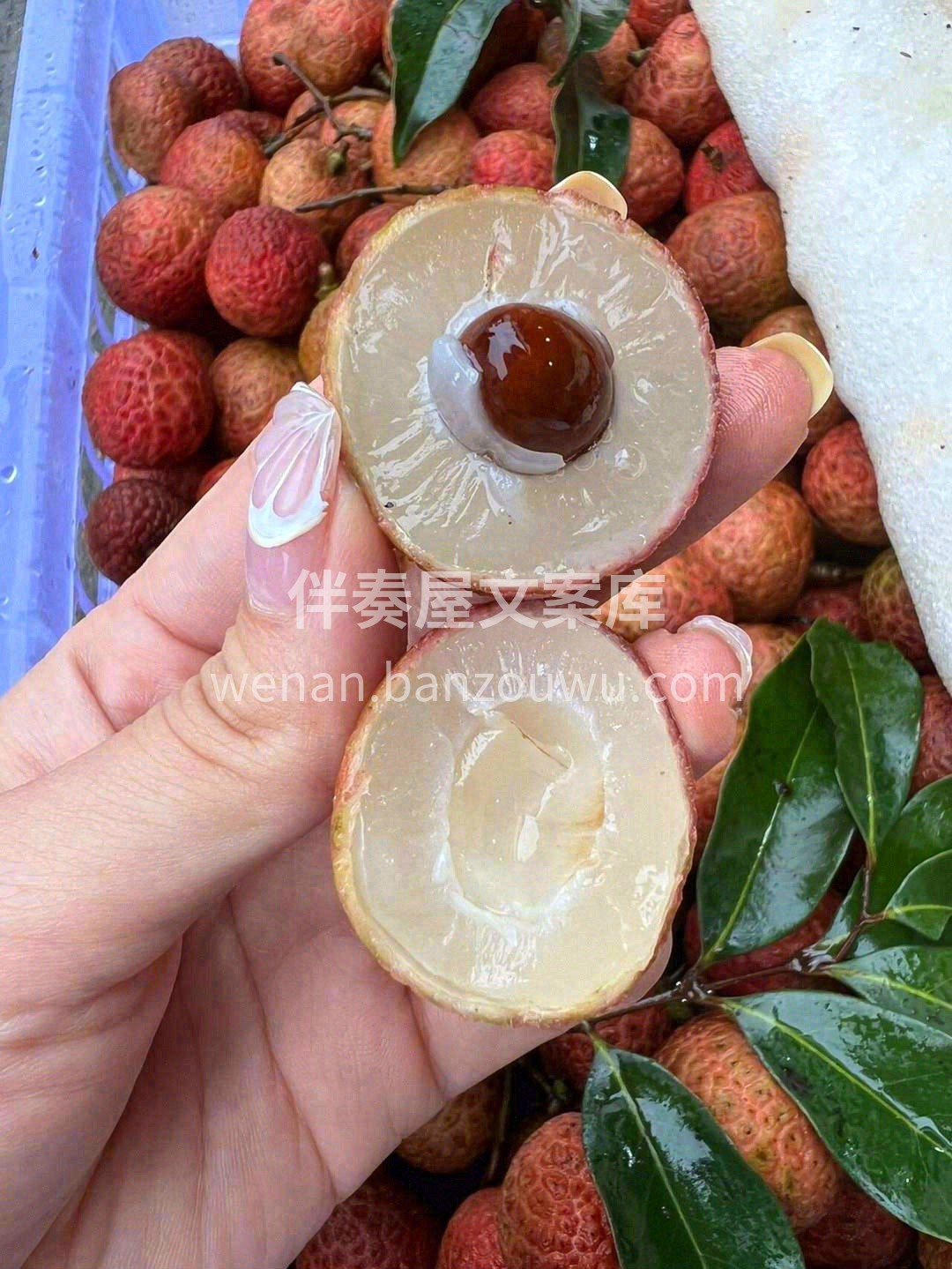 白糖罂—一颗幸福感爆棚的水果💗 如糖水包 配图1