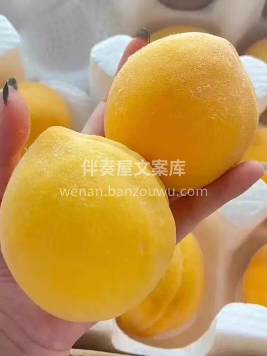 🍑黄金蜜黄毛桃🌟💢桃子就是这么美[哇]始 配图2