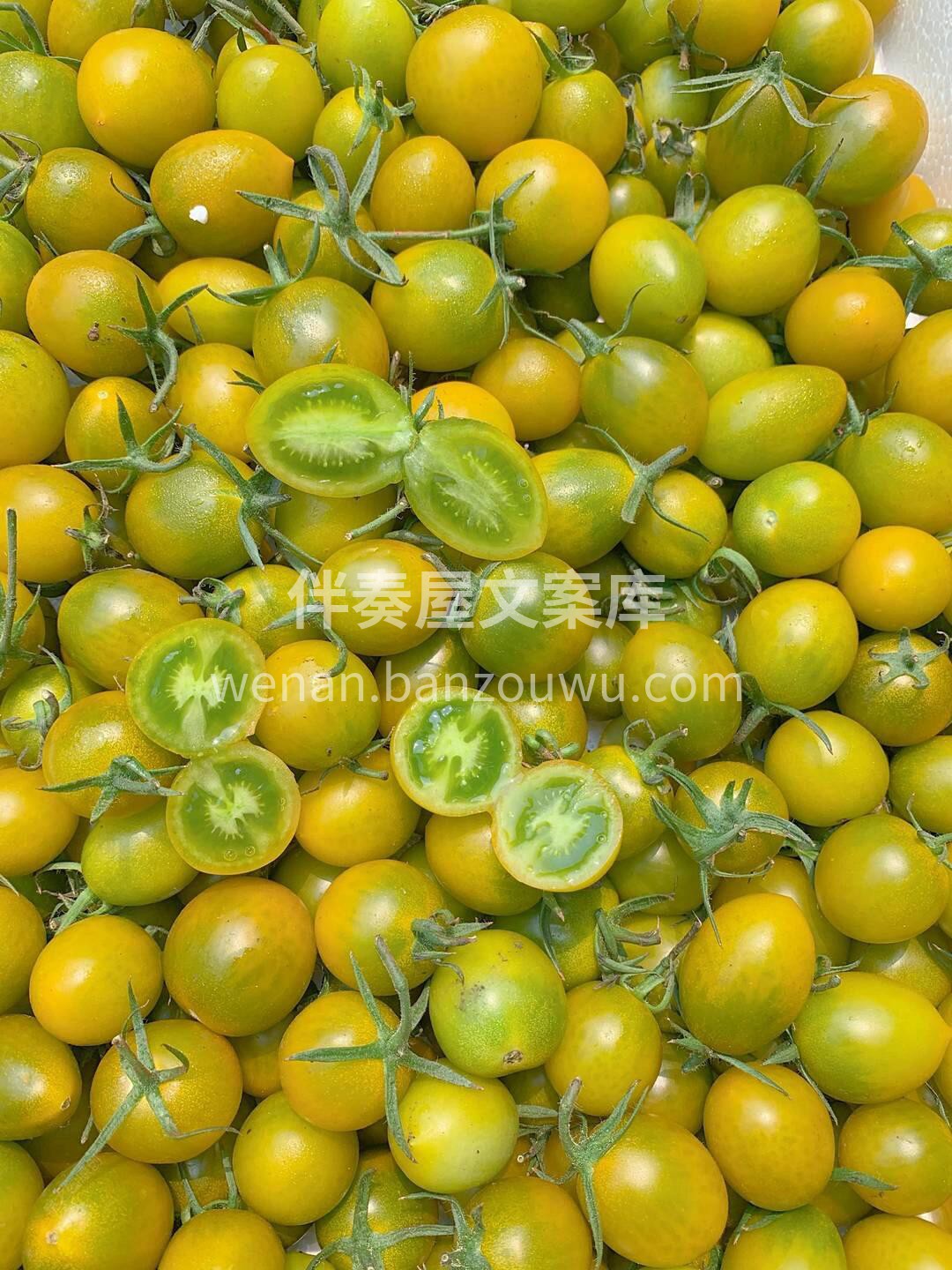 青口蜜小番茄😍，到货 有颜有味的一款小番 配图3