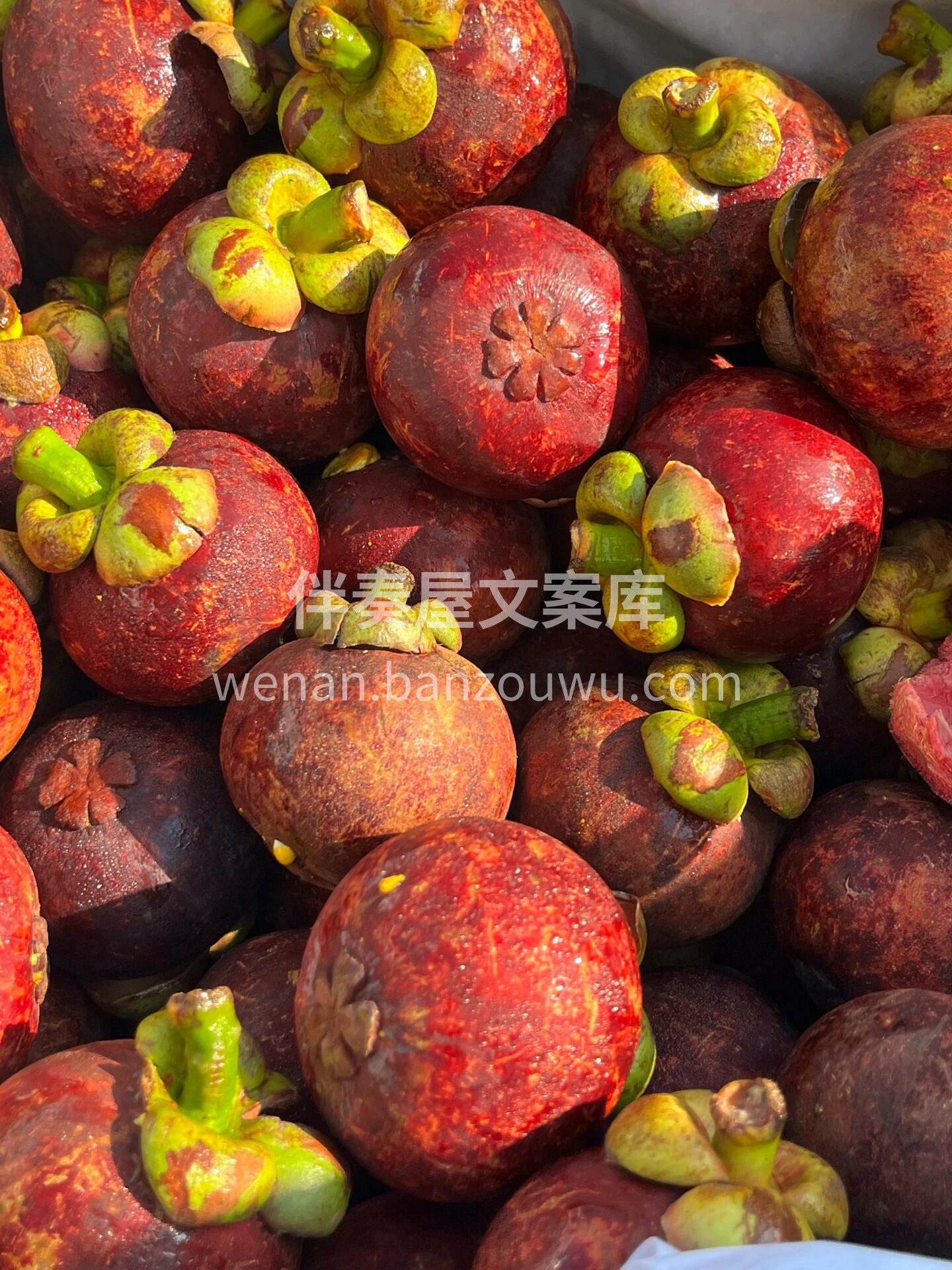 新货到🛫️水果皇‬后山竹 好处多多👍，解 配图2