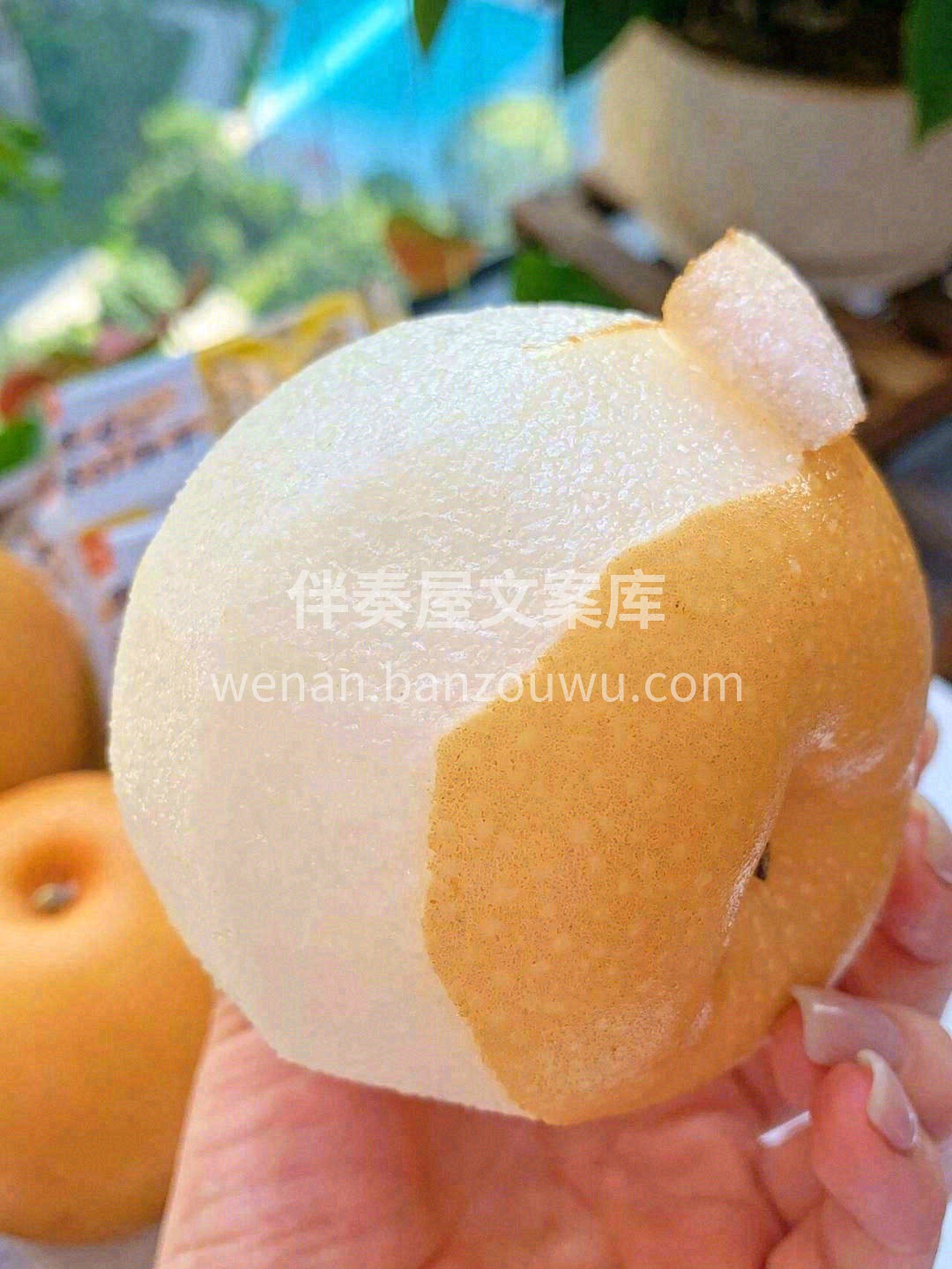 🌱 生活的每一刻都值得期待和珍惜🌼 今天 配图3