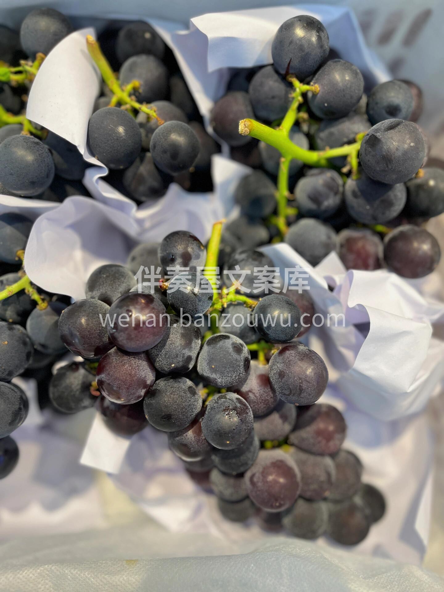 到货🔥巨峰葡萄🍇 香、脆、甜‼️入口细细 配图3