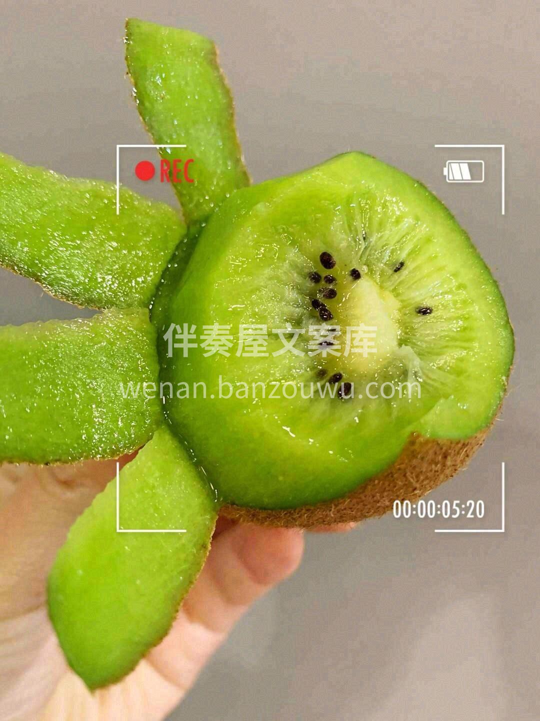 🥝酸甜刚好，好吃推荐||徐香猕猴桃 勾出 配图2