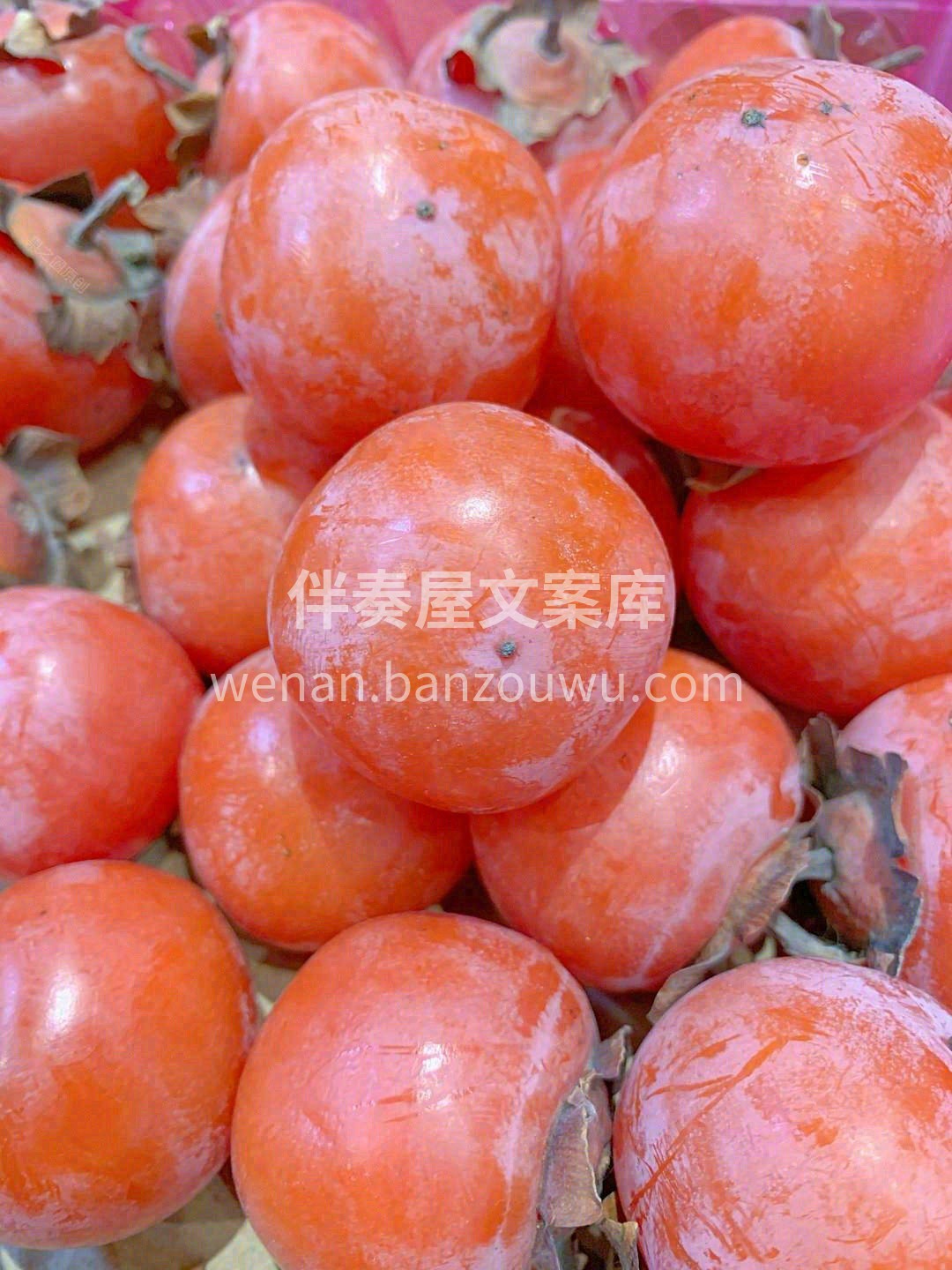 🍂冬天最喜欢的水果就是柿子，胖嘟嘟红彤彤 配图3