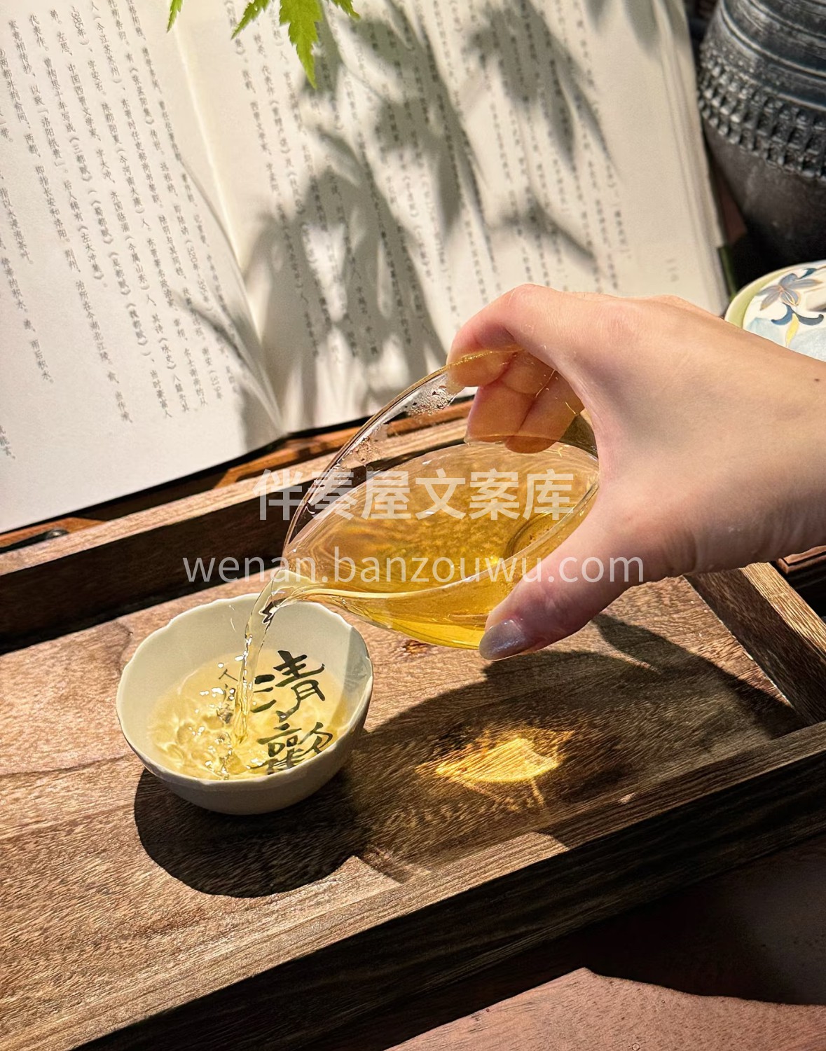一盏贡眉🍵，清甜如泉。白毫微展，杏黄的茶 配图3