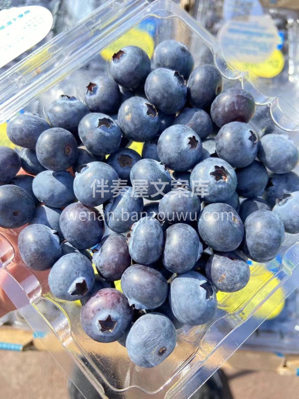 蓝莓怎么吃才爽口！来…我教你们！蓝莓🫐不 配图2