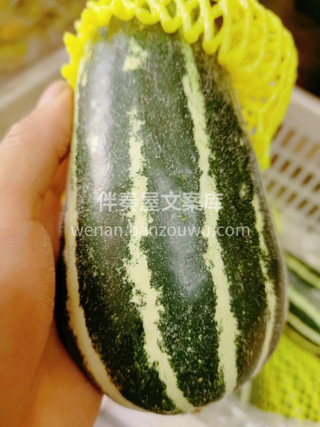 博洋九号甜瓜🍈到新💕 那股子😉清甜，是任 配图2