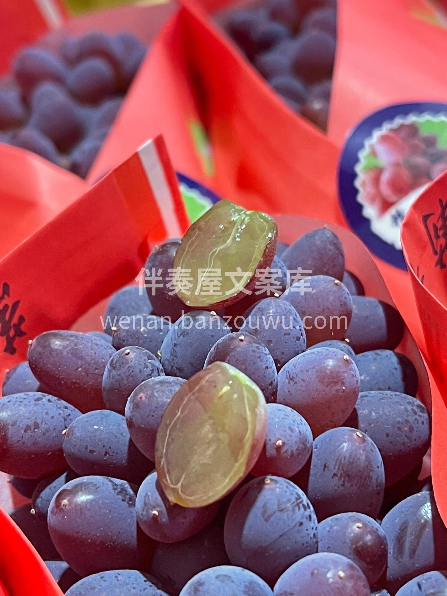 今日推荐❤️茉莉香葡萄🍇 微风拂过，仿佛 配图1