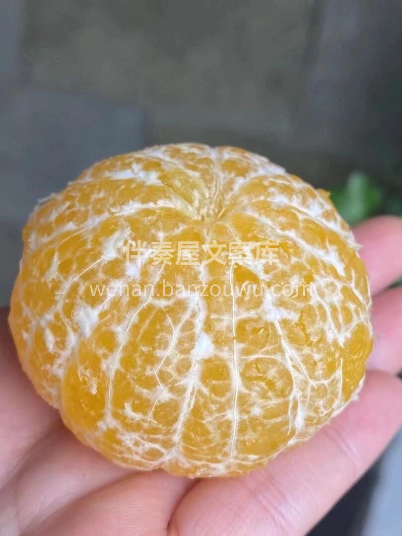 🍊 皇帝柑清甜爽口！ 果皮光滑易剥离👌一 配图3