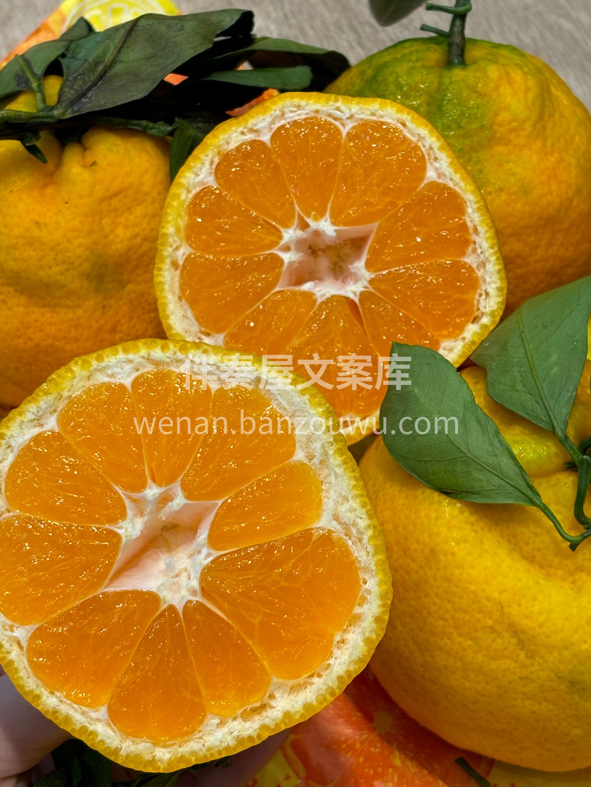🍊 不知火丑橘来啦👏 超解腻的冬日惊喜‼ 配图2