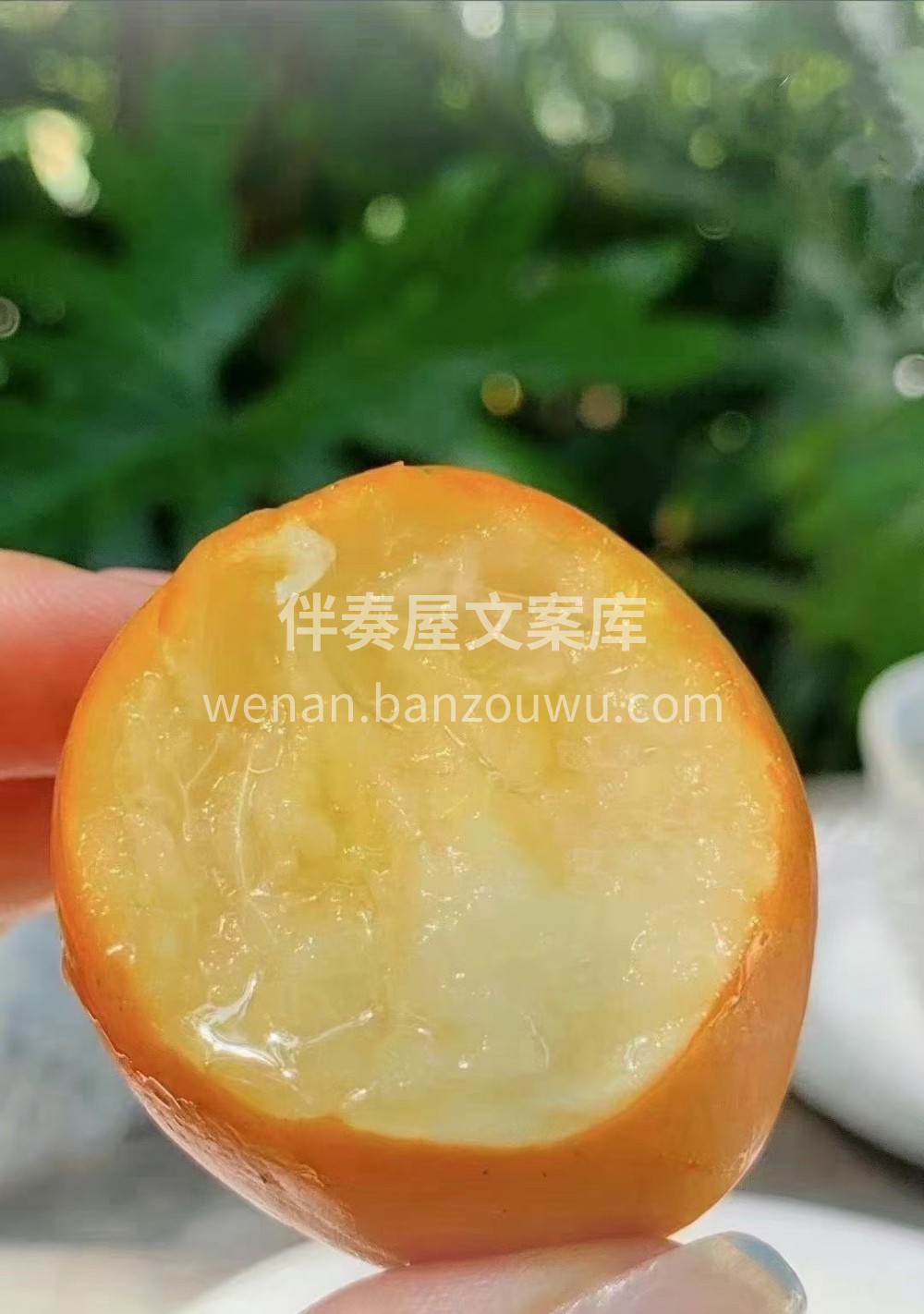 脆蜜金桔🍊，过年礼盒装🎁🎁真正的田间地头 配图2