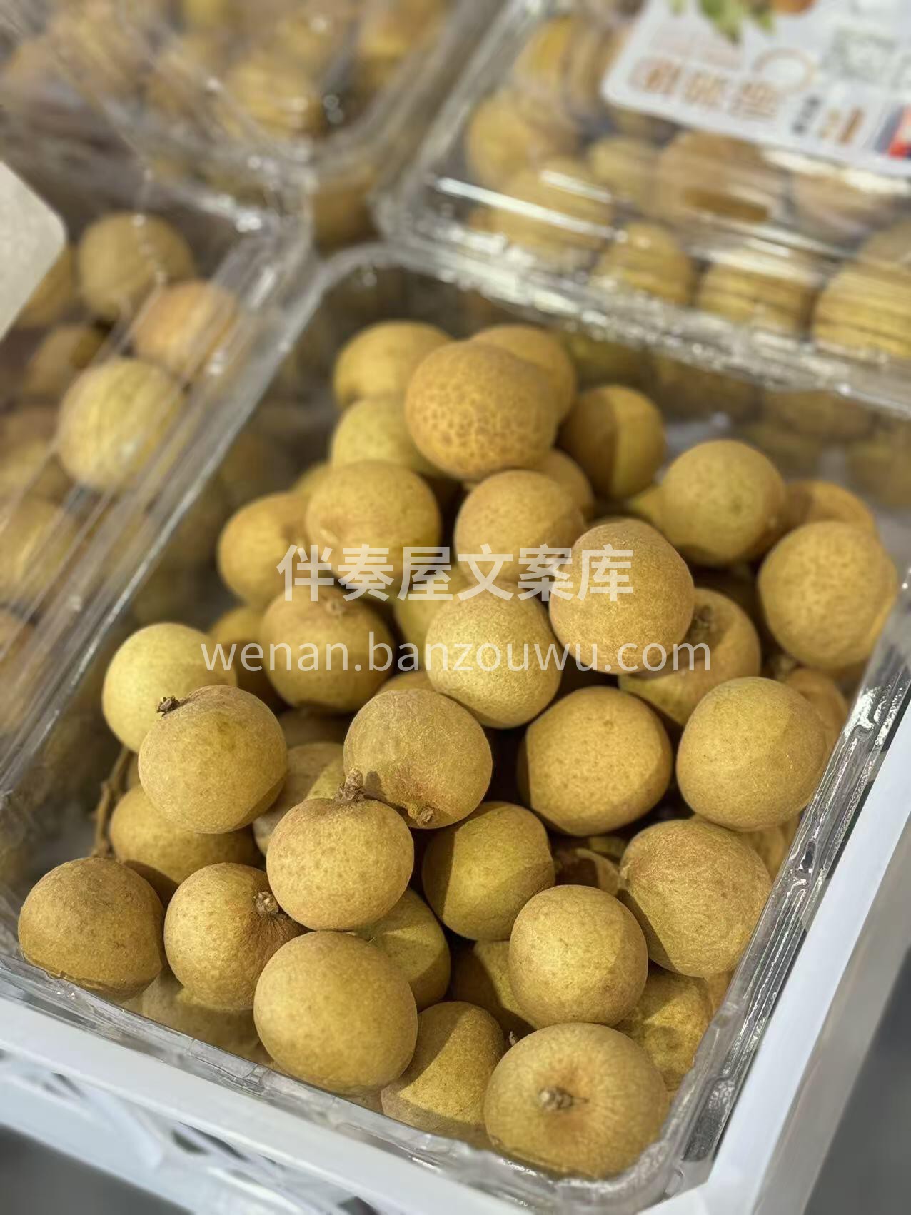 【金果源®鲜龙眼】JJ大果︱❗️果肉晶莹 配图3