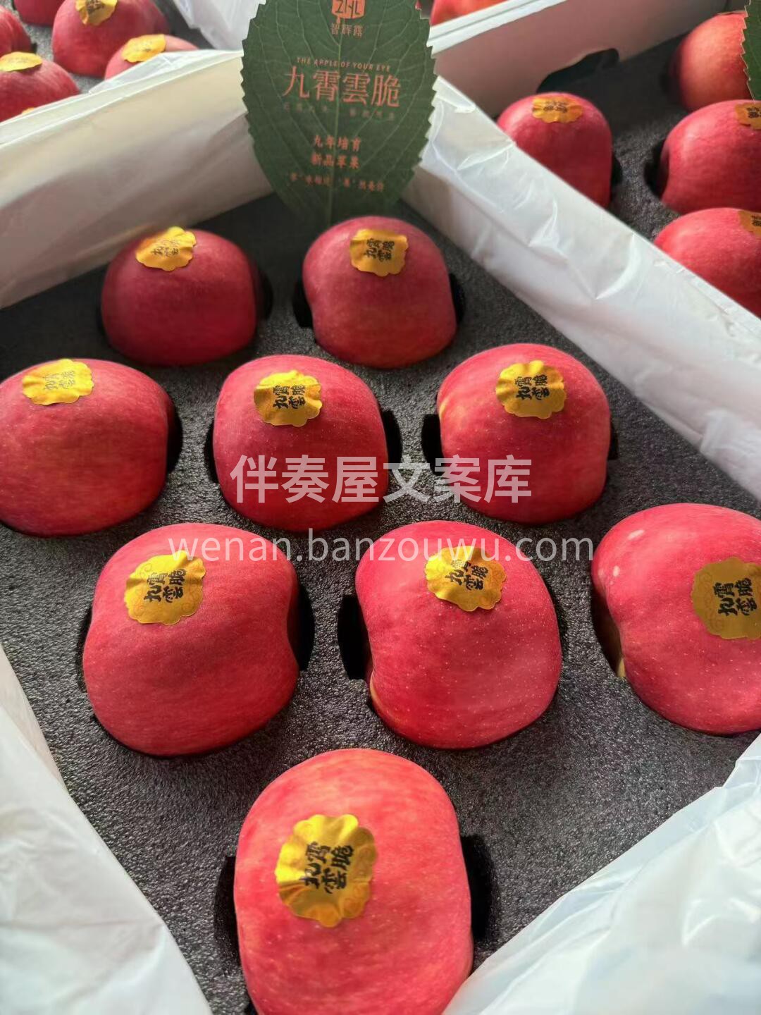 九霄云脆🍎 新品苹果，九年培育 脆甜多汁 配图3