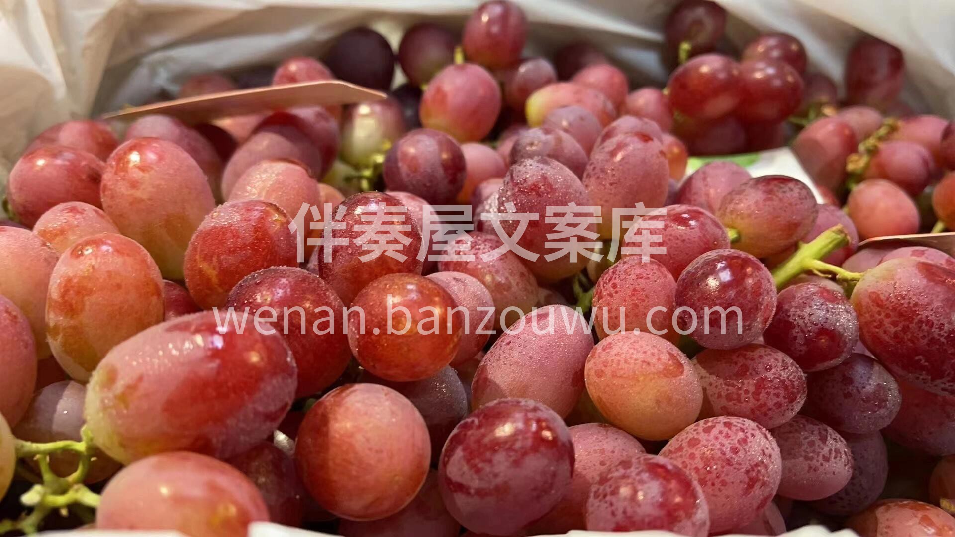 断货已久的无籽红提到货啦✌️ 颗颗饱满， 配图1