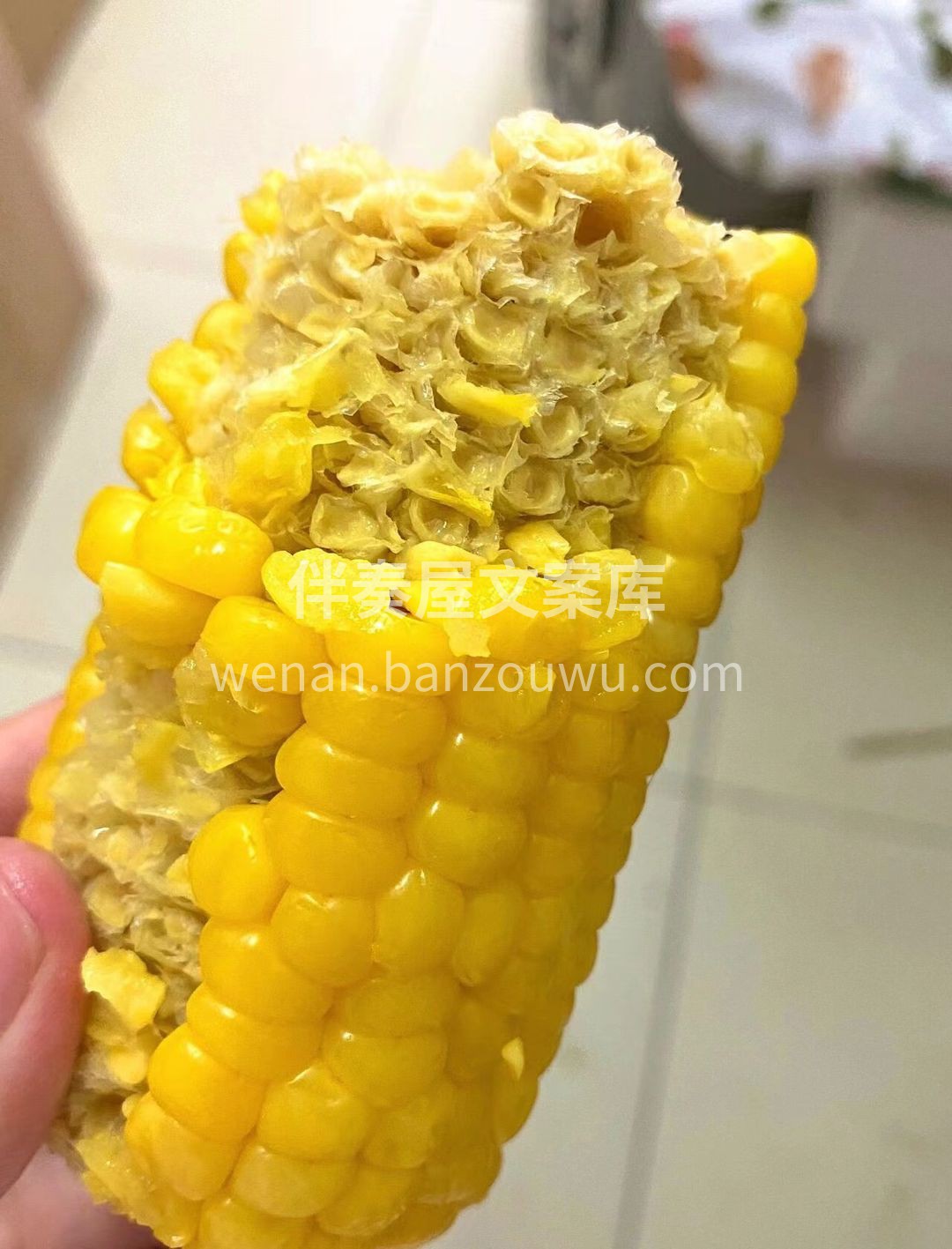 😍咬破的玉米粒，露出晶莹如冰糖心的果肉💛 配图2