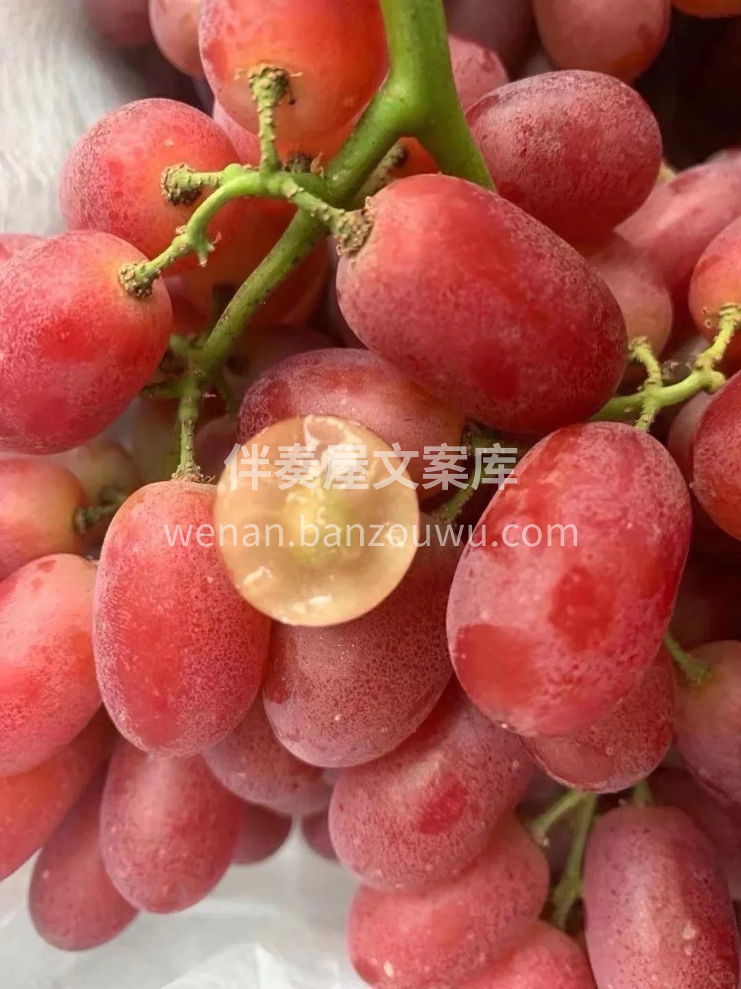 🍭甜度超高但又不腻，属于清甜蜜味家的👏配 配图2