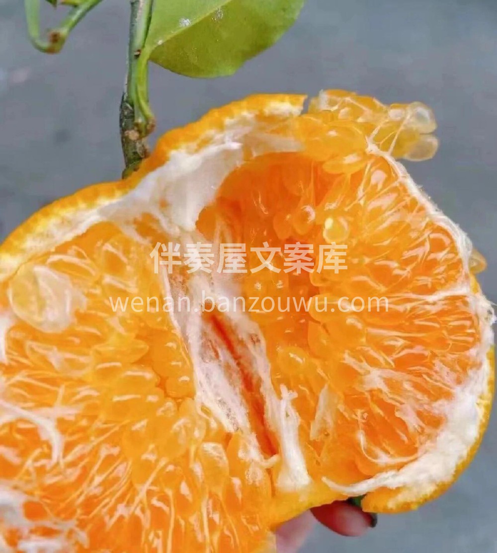 耙耙柑🎊年年复推，年年卖爆🎊保你一口一口 配图2
