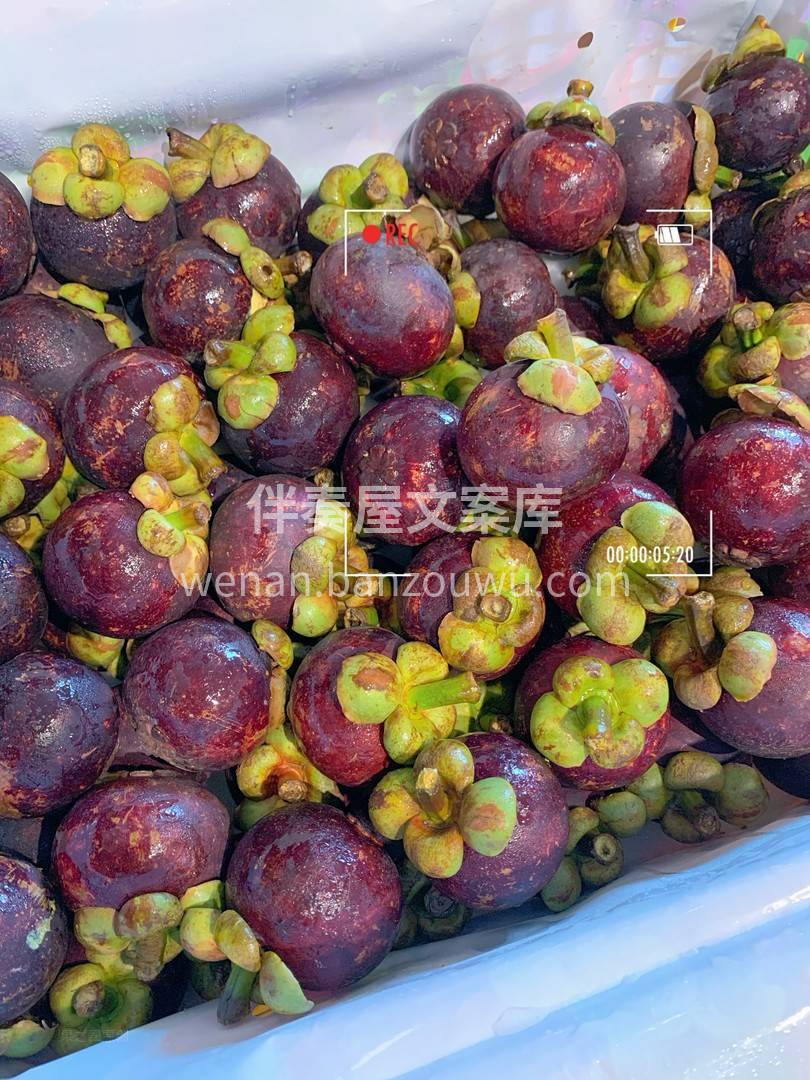 🌿🌿只要捏开厚软的果壳，就能看到瓣瓣雪白 配图3