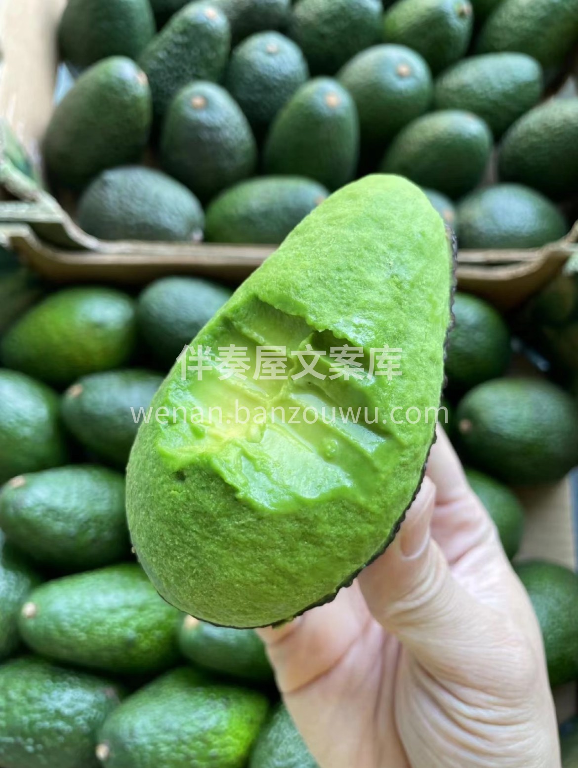 【新鲜牛油果🥑】 最新到货！ 绵密丝滑， 配图2