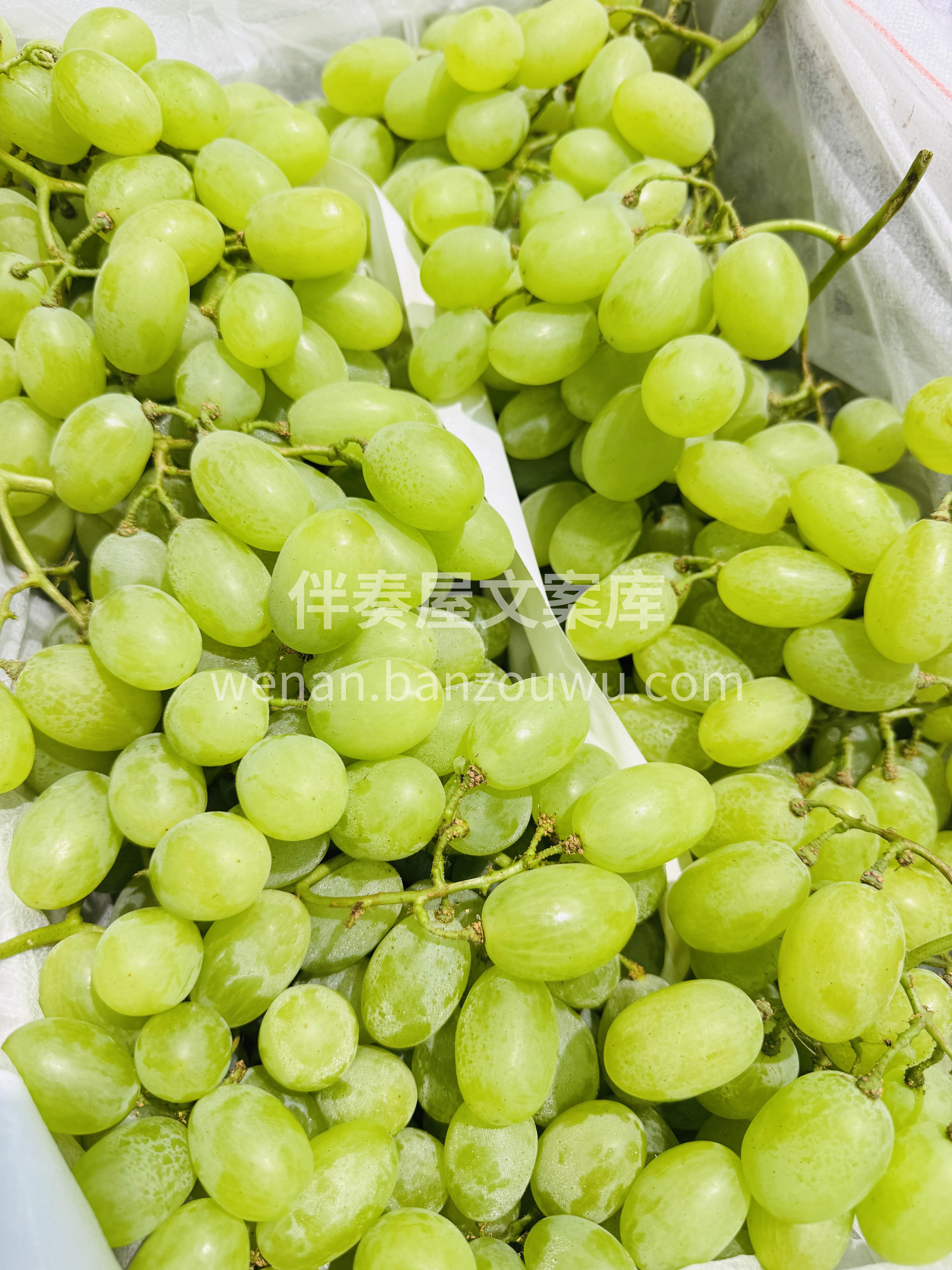 维多利亚青提🍇 夏日里的一抹清新✨ 串串 配图3