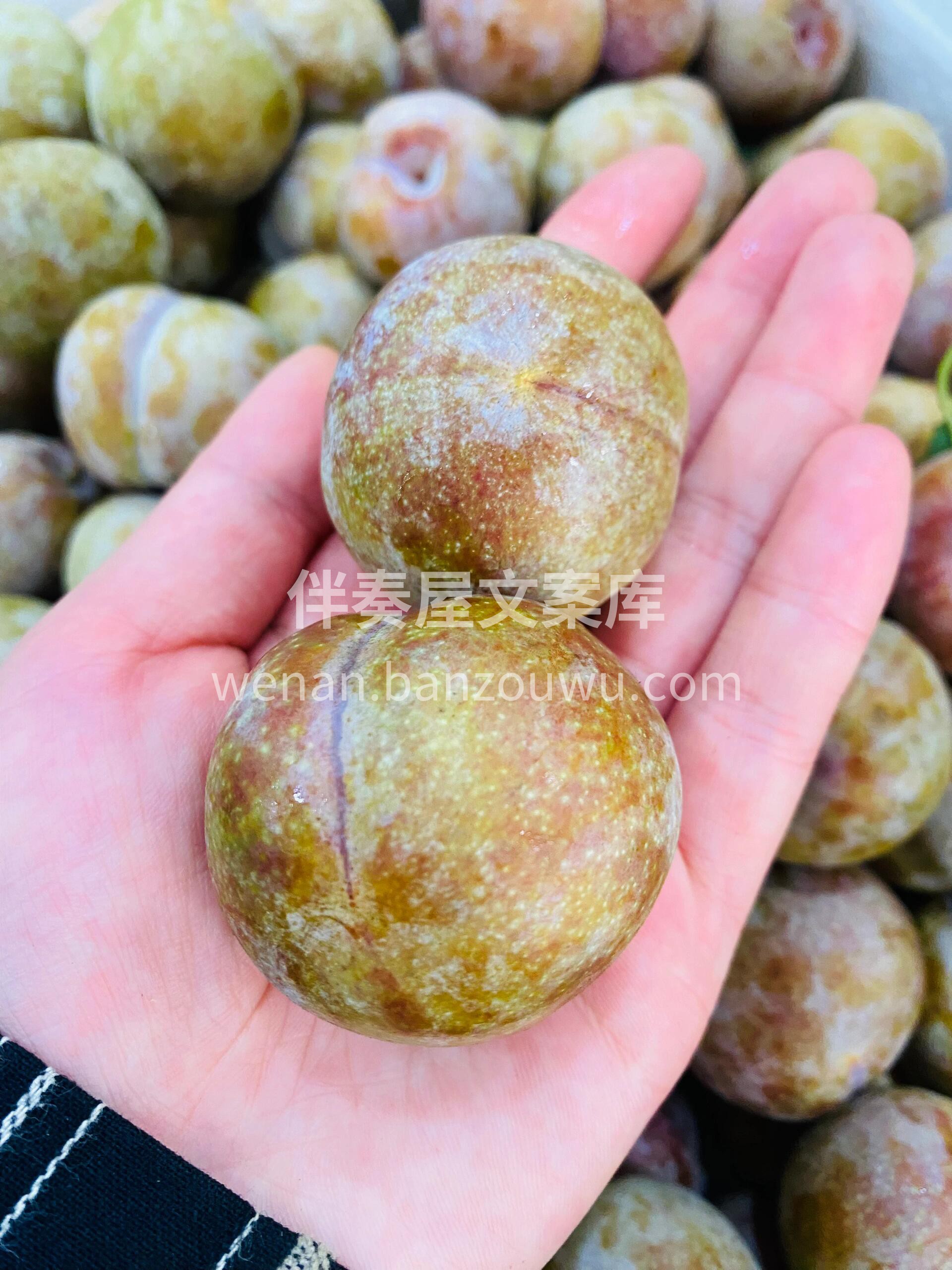 世间李子千‮万千‬万种🤤 独爱三华李❤️ 配图3