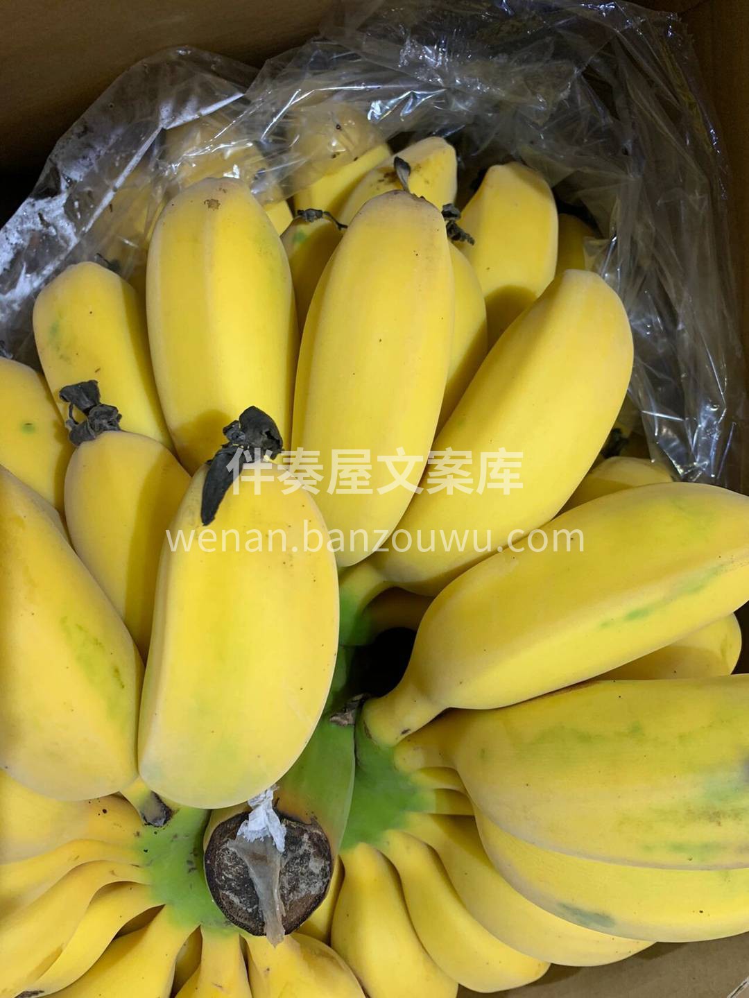 外形粗粗的，特别可爱🐳 奶白色的果肉，绵 配图1