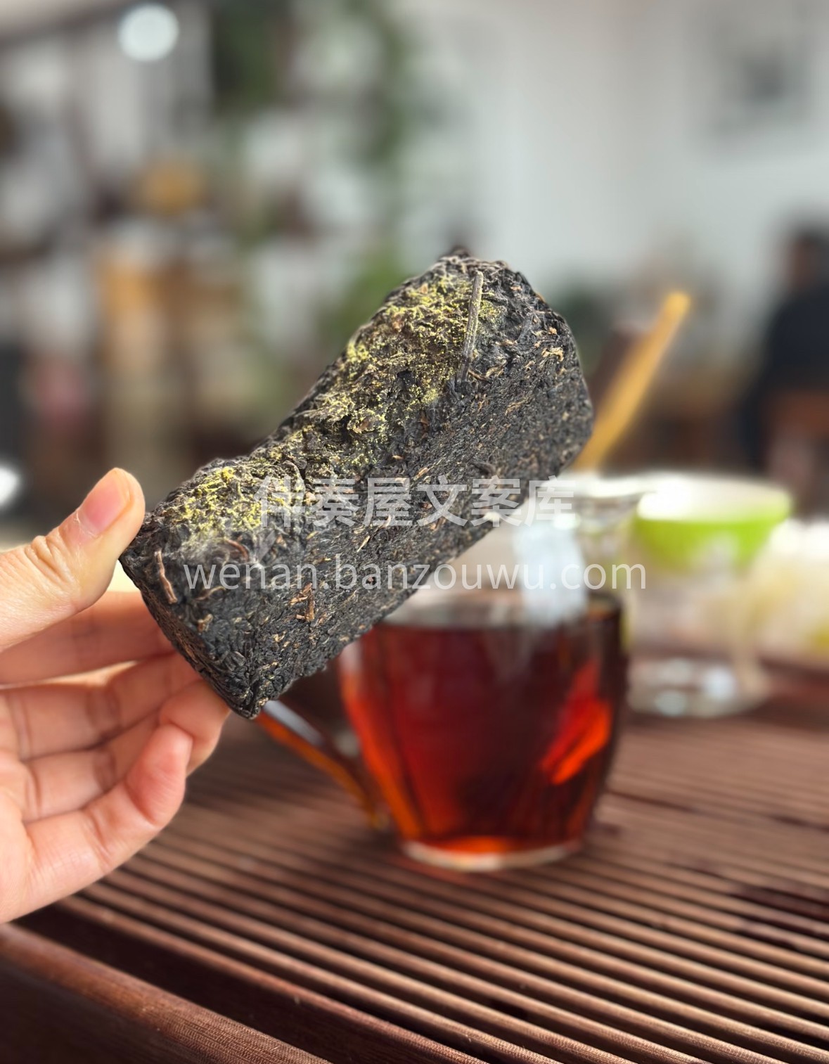 🌿 金花茯茶藏岁月沉香，冠突散囊菌缀满茶 配图2