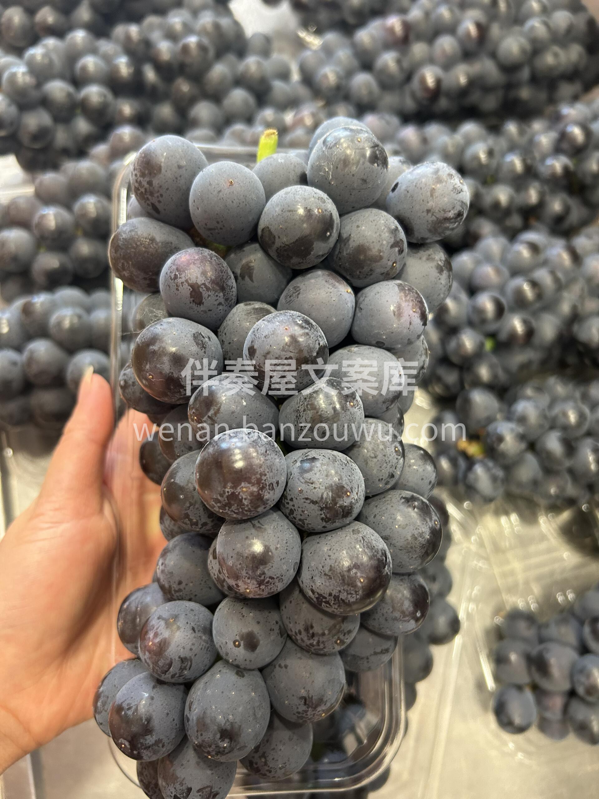 🍇 夏黑葡萄抢鲜上市！ 紫黑发亮像玛瑙🖤 配图1
