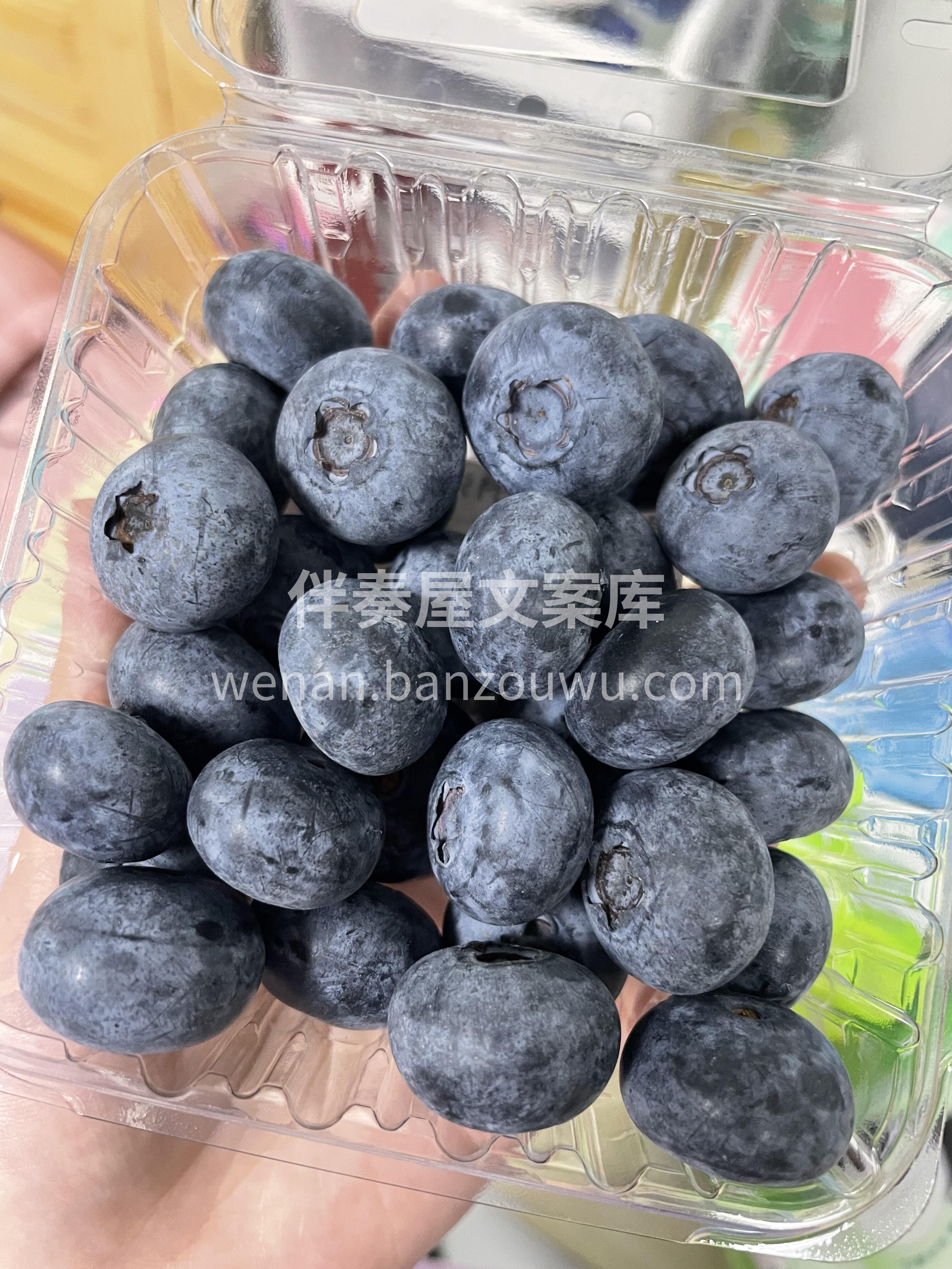 🫐 秘鲁蓝莓上市！🫐 果粉完整像覆霜～新 配图1