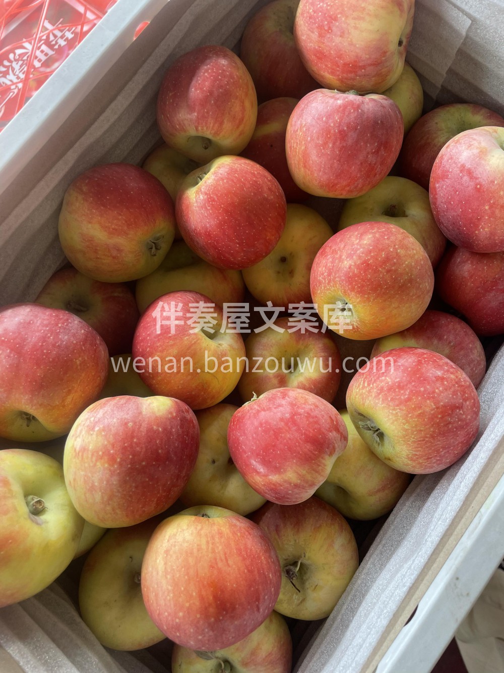 云南小苹果🍎脆 嫩 香 甜🍭带着一丝淡淡 配图3