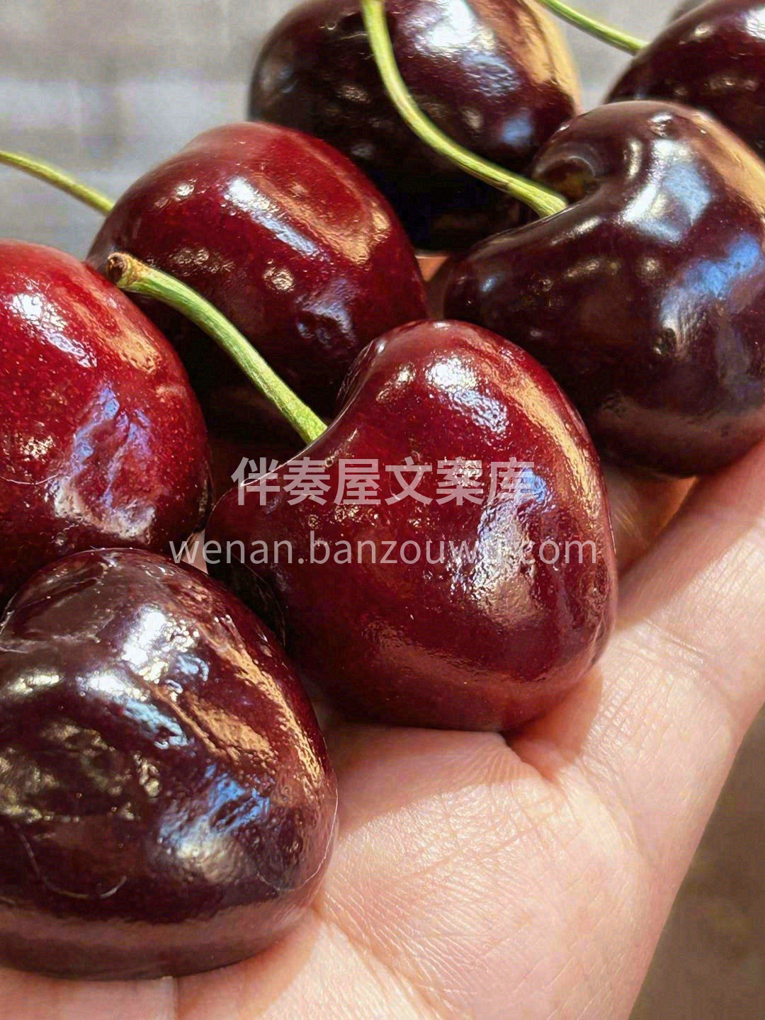 请原谅我的粗俗👍 没有高级的言语，没有精 配图1