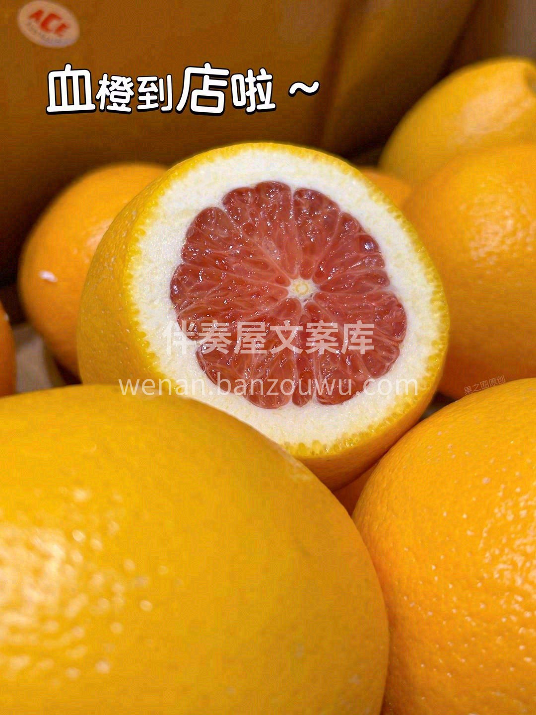 迫不及待等TA一整年☘️，终于来了！ 血 配图2