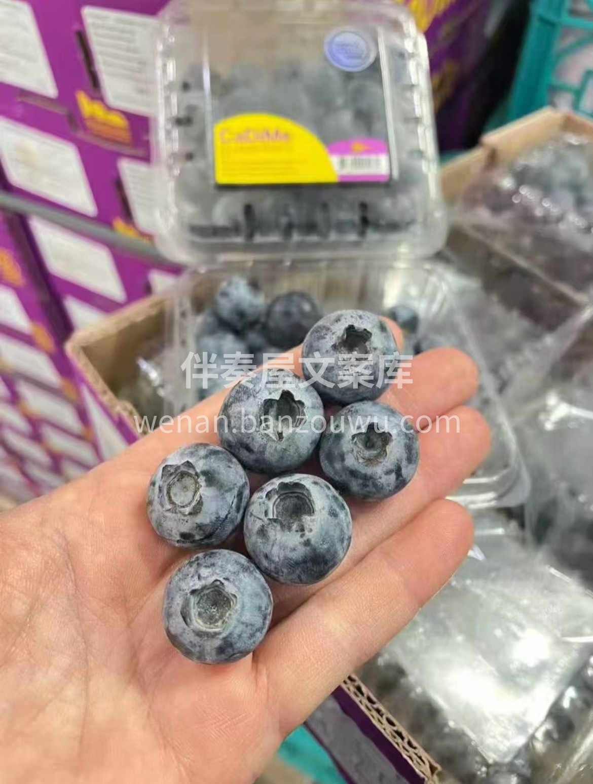 🎉【秘鲁蓝莓】🫐到货‼️ 深紫外皮和普通 配图2