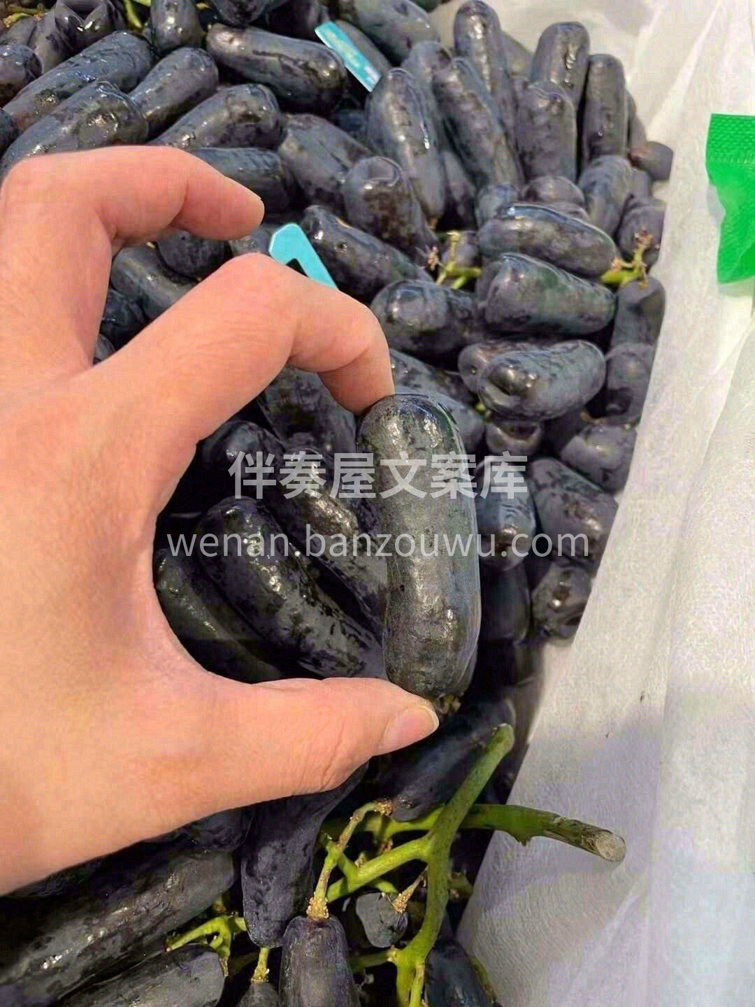 ?澳洲阳光充足?️，每年日晒时间超过30 配图2