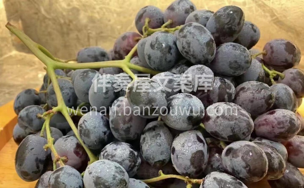 ——黑提🍇 爽甜不涩🍭光亮如漆，轻咬一口 配图2