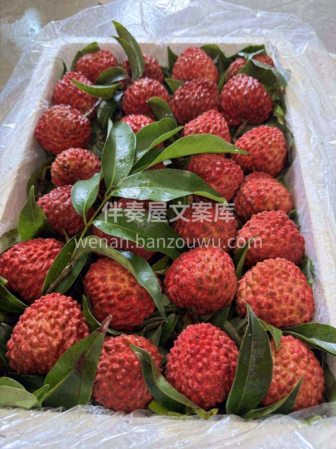 忽而夏已至，荔枝正当红💌 你尝遍了人间烟 配图3