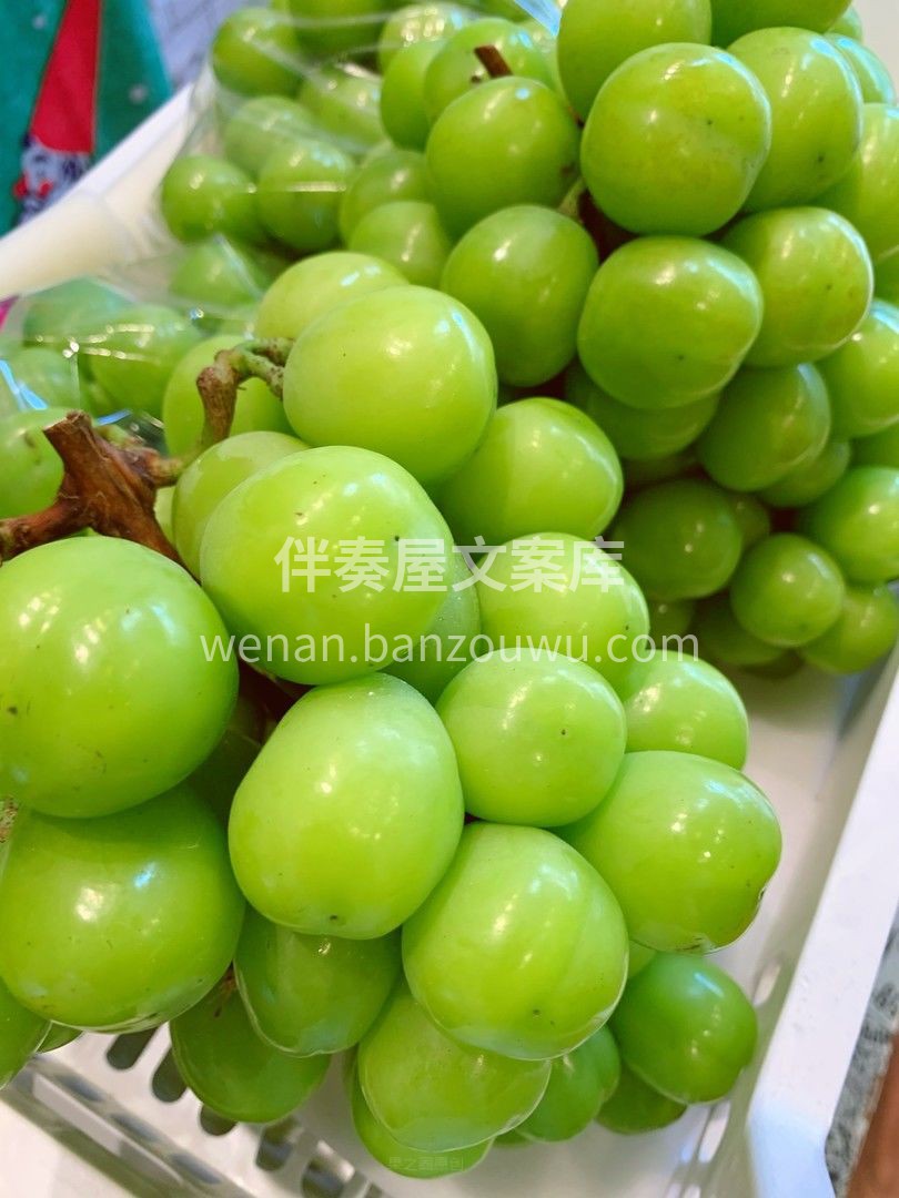 ?薄薄果皮晶莹剔透，轻轻一捏果肉，莹莹汁 配图3