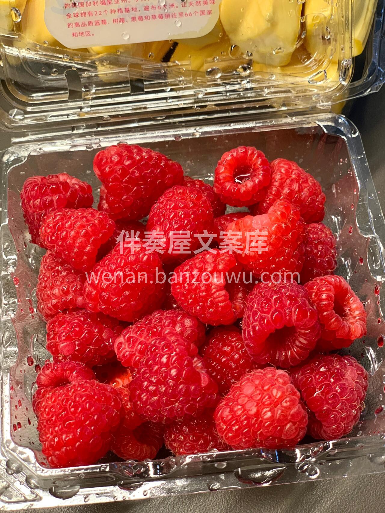 尝甜蜜浆果❤️，撩冬日清新🌷 一顶小红帽 配图2