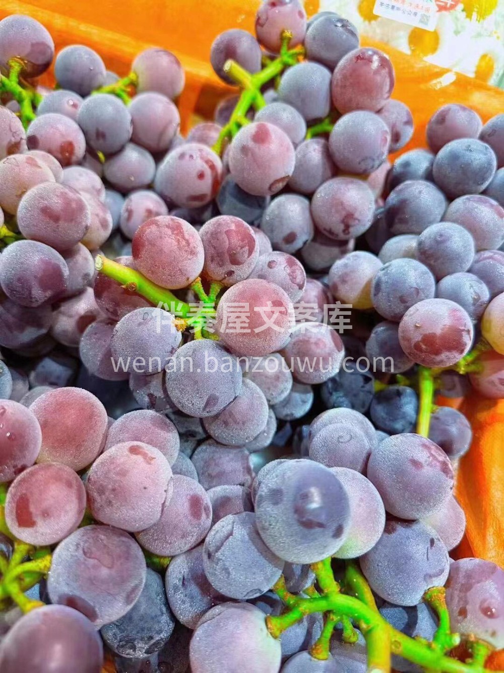 🍭当季热卖👉 巨峰葡萄🍇一口一颗独有的清 配图2