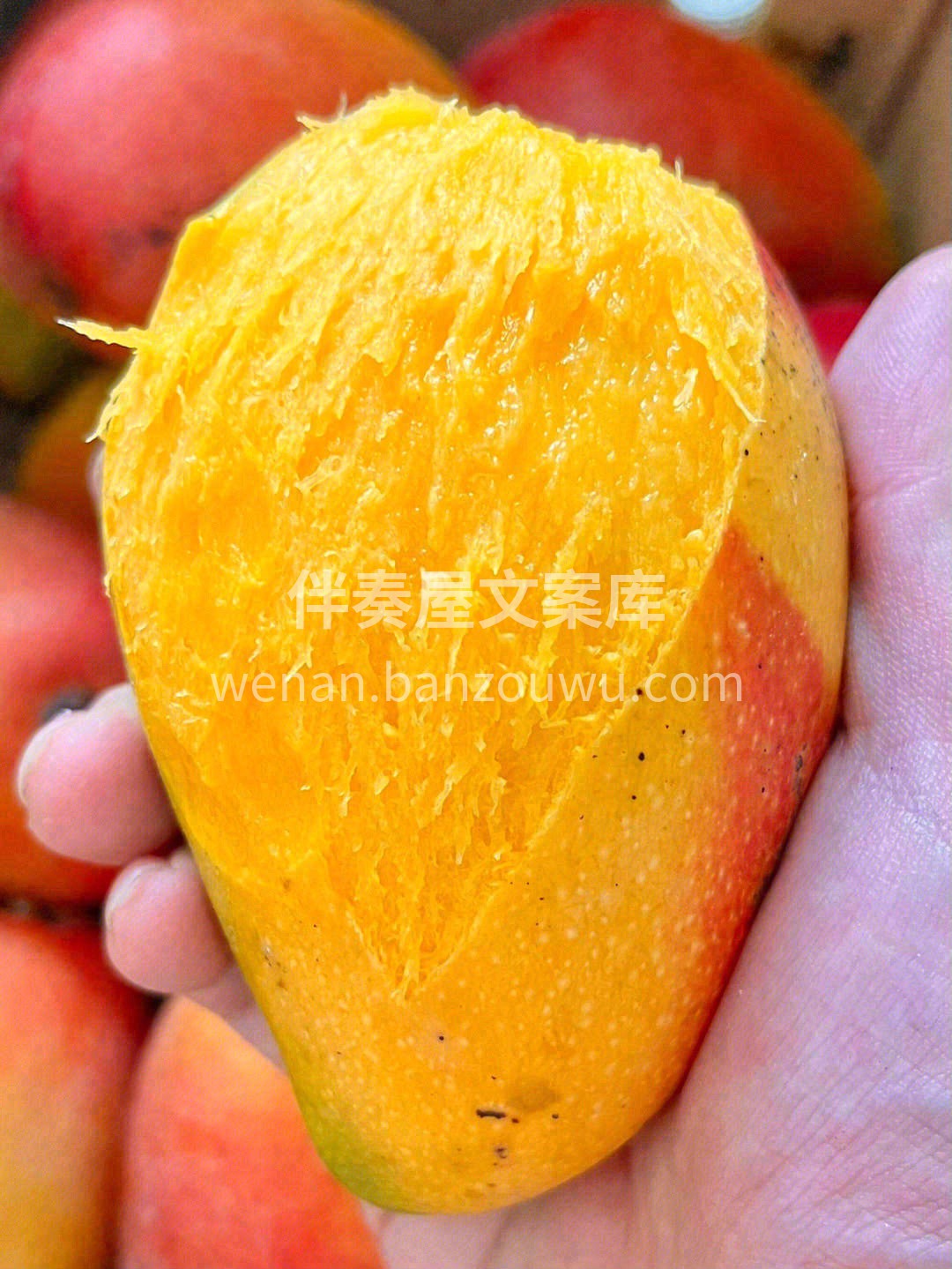公认的“好吃到爆的芒果”🥭 它有着高颜值 配图2