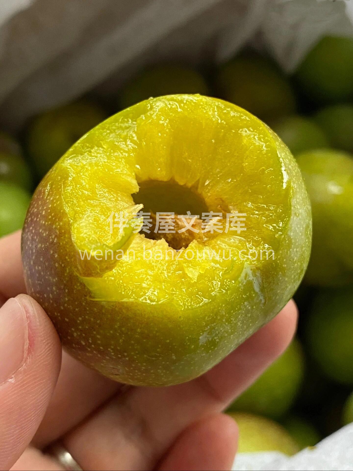 💚四川半边红脆李～ 脱骨化渣，脆甜🍭脱骨 配图1