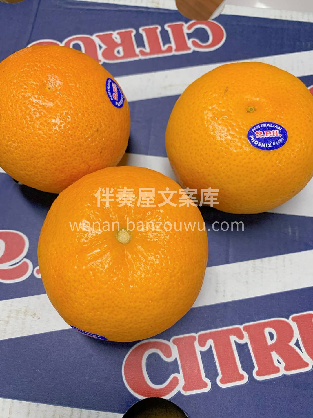 💁秋天的水果榜单里，甜蜜水润的柑橘一定是 配图3
