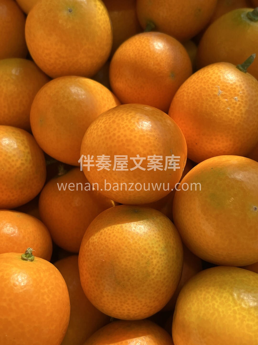 🌈吸收180天的日月精华😋 一口清甜沁人 配图3