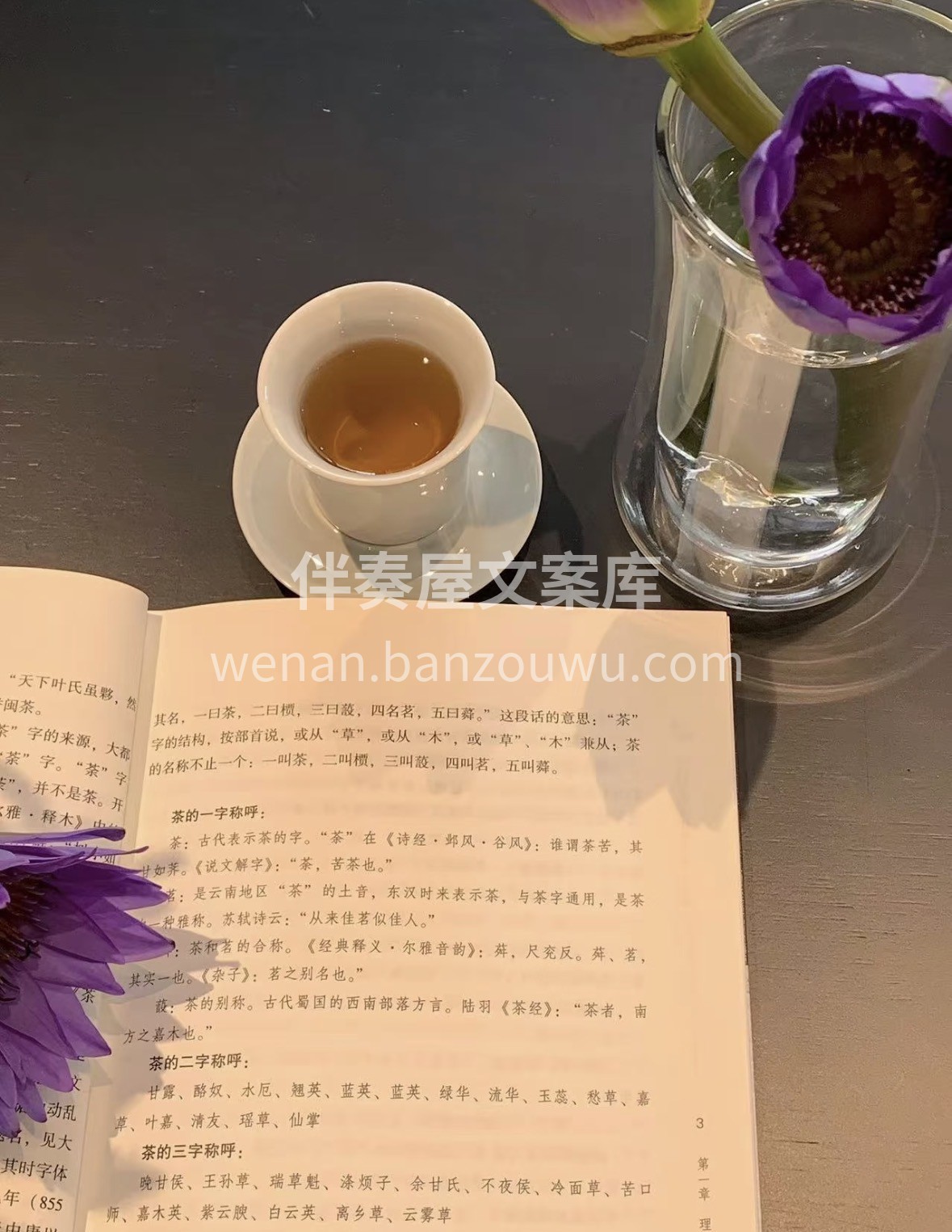 🎁知茶韵，懂茶香，一杯好茶藏岁月，礼赠知 配图2