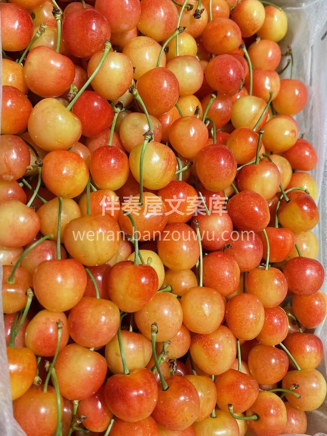 新品推荐→黄蜜水晶樱桃🍒 一颗入口👄满是 配图2